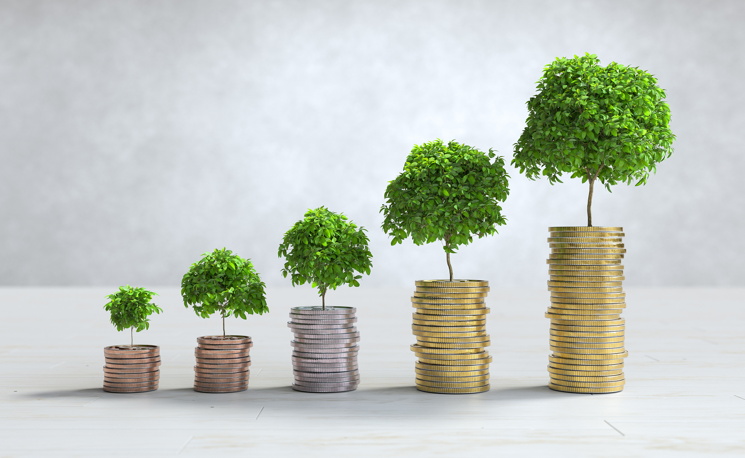 Financial progress